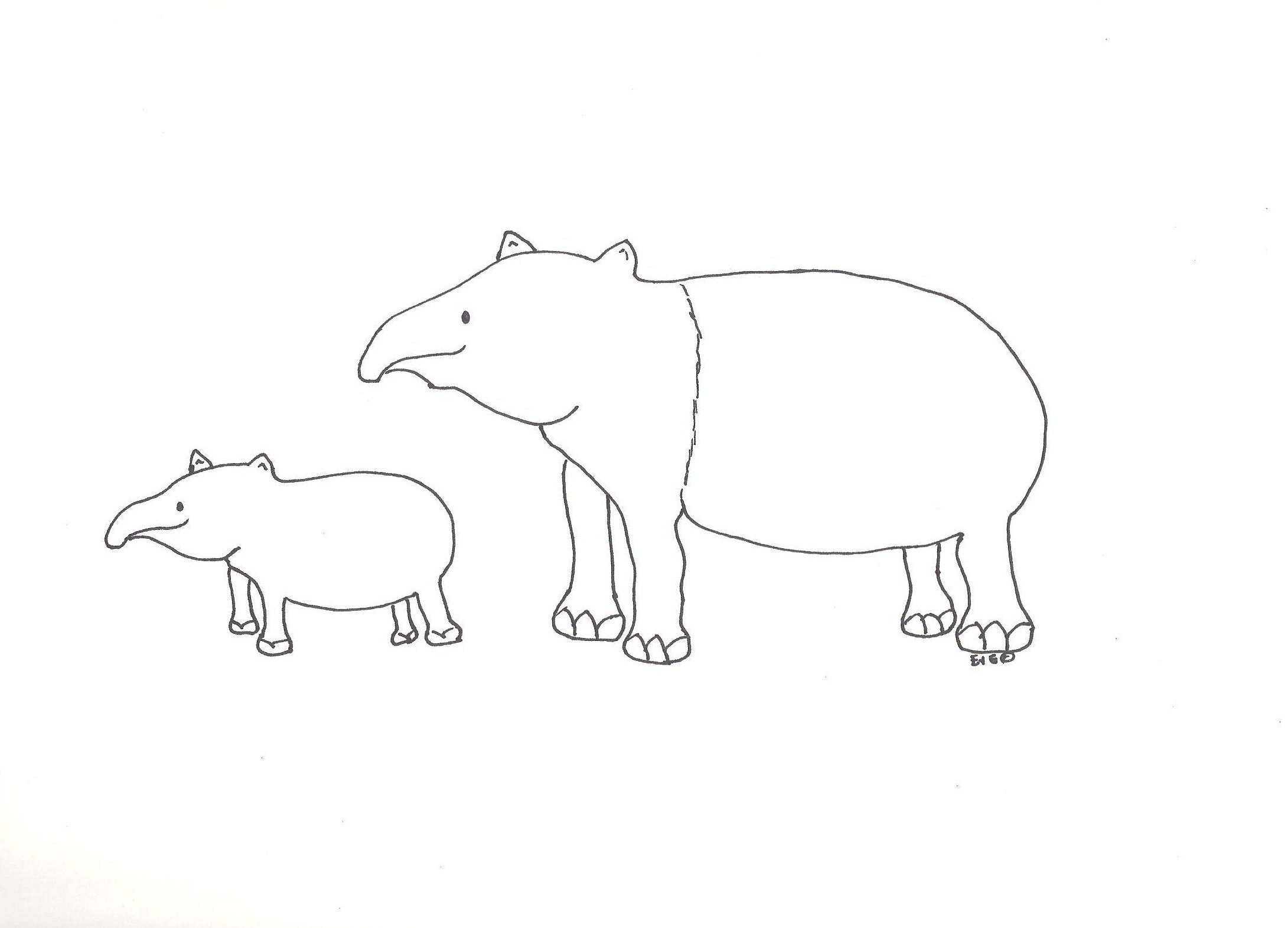 tapir and juvenile coloring pages - photo #7
