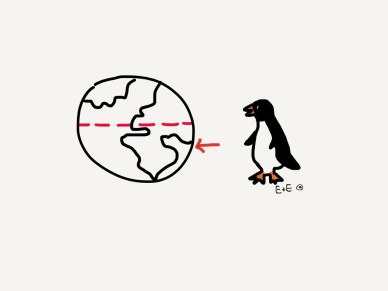 All penguins live in the southern hemisphere!